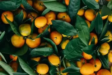 lots of oranges and leaves